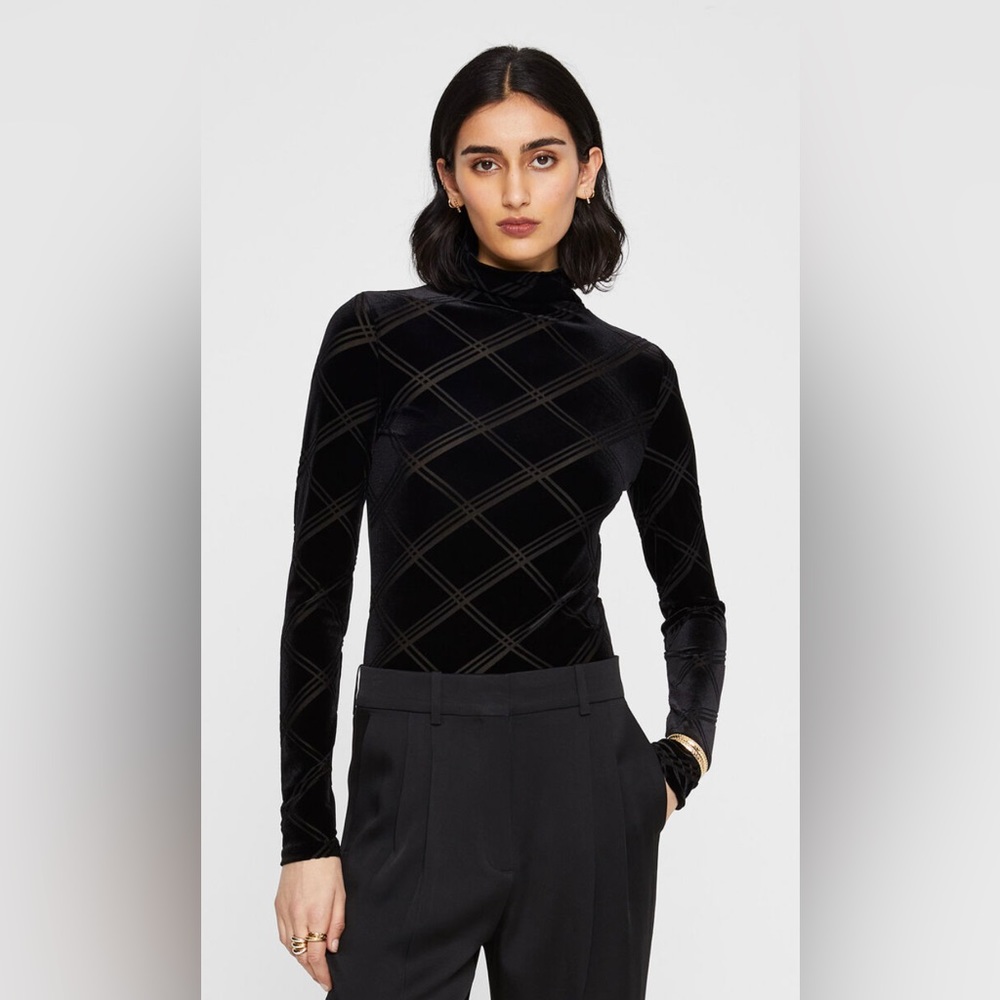 Club Monaco Julie Burnout Turtleneck